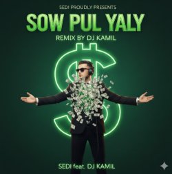 Sedi - Sow pul yaly (Dj Kamil remix)