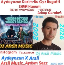 Aydayozin - Bu Gyz Hanym (Dj Arsii Music) 2026
